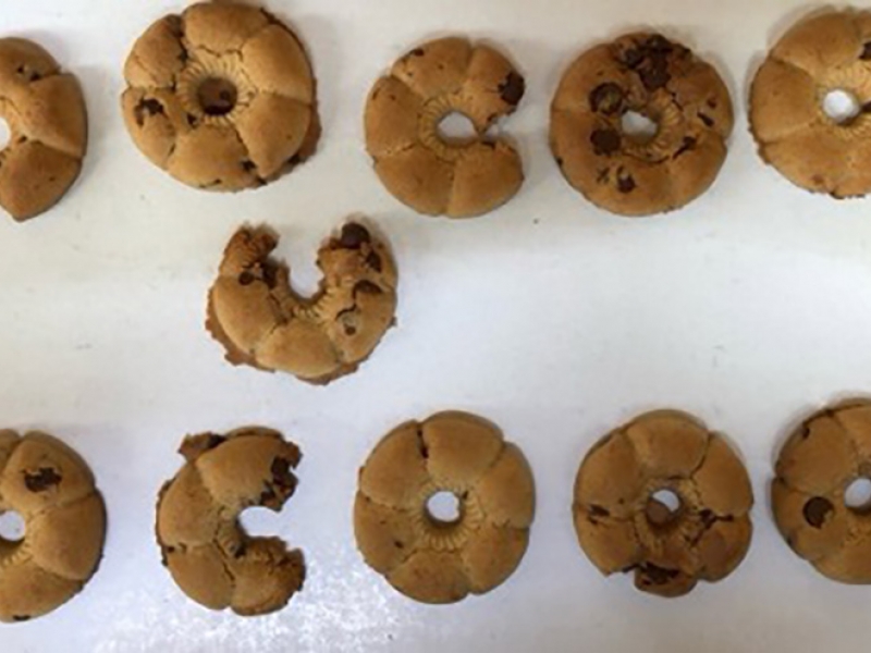 Biscotti