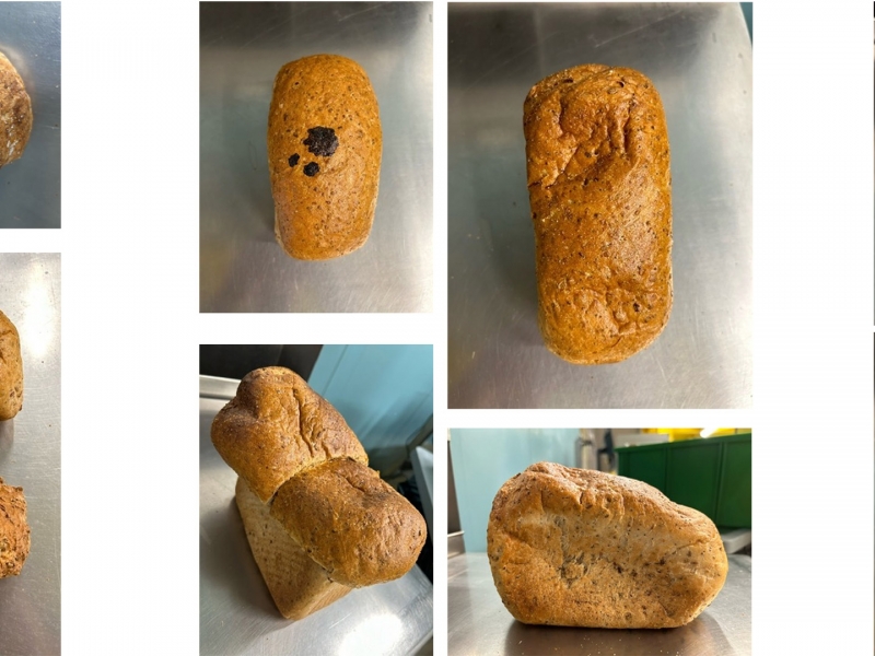 Bread