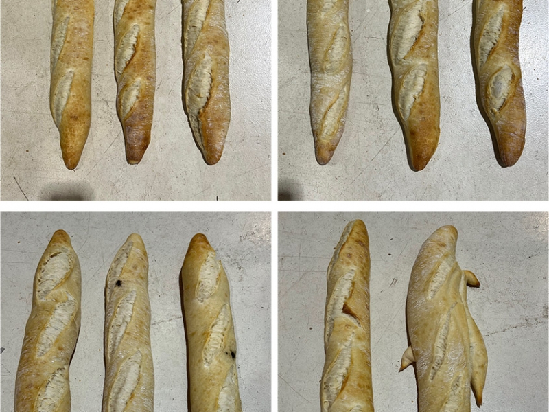 Bread