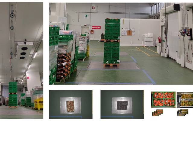 Vision inspection systems for the warehouse logistics - The Tosano Group case history